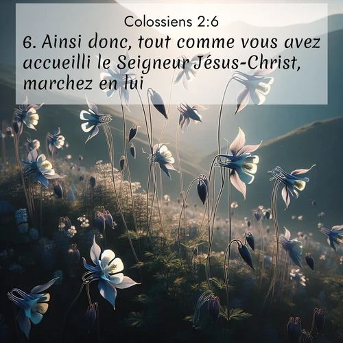 Segond21 Colossiens  ; image nature: image avec le verset biblique :Ainsi donc, tout comme vous avez accueilli le Seigneur Jésus-Christ, marchez en lui; ;  ; 2:6