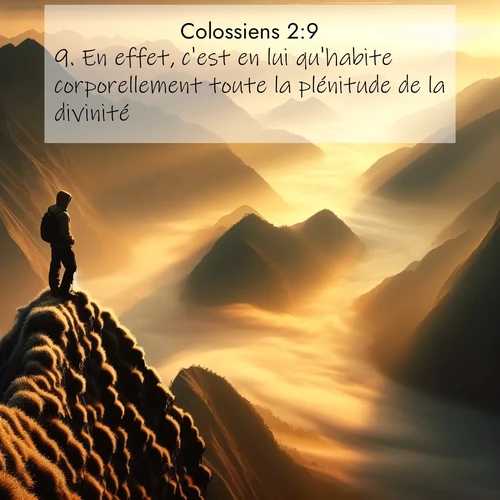 Segond21 Colossiens  ; image nature: image avec le verset biblique :En effet, c&#039;est en lui qu&#039;habite corporellement toute la plénitude de la divinité. ;  ; 2:9