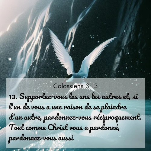 Segond21 Colossiens  ; image nature: image avec le verset biblique :Supportez-vous les uns les autres et, si l&#039;un de vous a une raison de se plaindre d&#039;un autre, pardonnez-vous réciproquement. Tout comme Christ vous a pardonné, pardonnez-vous aussi. ;  ; 3:13