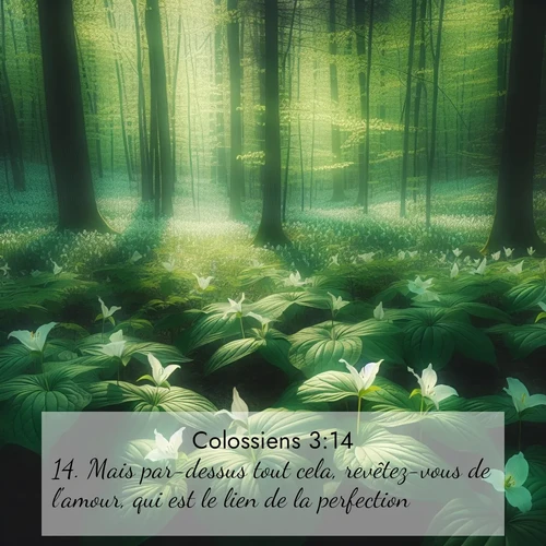 Segond21 Colossiens  ; image nature: image avec le verset biblique :Mais par-dessus tout cela, revêtez-vous de l&#039;amour, qui est le lien de la perfection. ;  ; 3:14