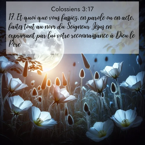 Segond21 Colossiens  ; image nature: image avec le verset biblique :Et quoi que vous fassiez, en parole ou en acte, faites tout au nom du Seigneur Jésus en exprimant par lui votre reconnaissance à Dieu le Père. ;  ; 3:17