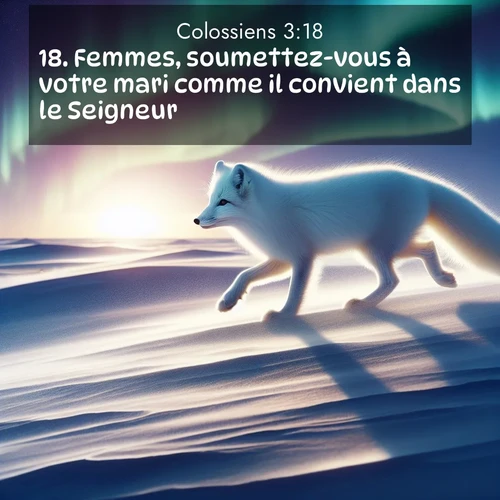 Segond21 Colossiens  ; image nature: image avec le verset biblique :Femmes, soumettez-vous à votre mari comme il convient dans le Seigneur. ;  ; 3:18