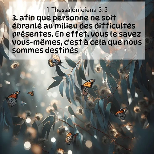 Segond21 1 Thessaloniciens  ; image nature: image avec le verset biblique :afin que personne ne soit ébranlé au milieu des difficultés présentes. En effet, vous le savez vous-mêmes, c&#039;est à cela que nous sommes destinés. ;  ; 3:3