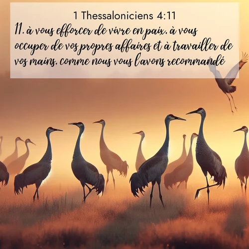 Segond21 1 Thessaloniciens  ; image nature: image avec le verset biblique :à vous efforcer de vivre en paix, à vous occuper de vos propres affaires et à travailler de vos mains, comme nous vous l&#039;avons recommandé. ;  ; 4:11
