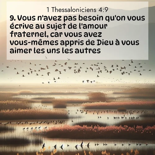 Segond21 1 Thessaloniciens  ; image nature: image avec le verset biblique :Vous n&#039;avez pas besoin qu&#039;on vous écrive au sujet de l&#039;amour fraternel, car vous avez vous-mêmes appris de Dieu à vous aimer les uns les autres, ;  ; 4:9