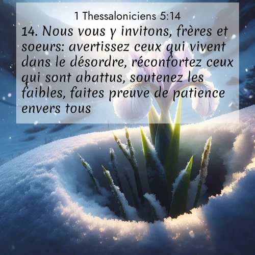 Segond21 1 Thessaloniciens  ; image nature: image avec le verset biblique :Nous vous y invitons, frères et soeurs: avertissez ceux qui vivent dans le désordre, réconfortez ceux qui sont abattus, soutenez les faibles, faites preuve de patience envers tous. ;  ; 5:14