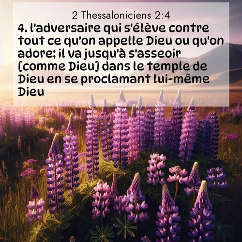 Segond21 2 Thessaloniciens  ; image nature: image avec le verset biblique :l&#039;adversaire qui s&#039;élève contre tout ce qu&#039;on appelle Dieu ou qu&#039;on adore; il va jusqu&#039;à s&#039;asseoir [comme Dieu] dans le temple de Dieu en se proclamant lui-même Dieu. ;  ; 2:4