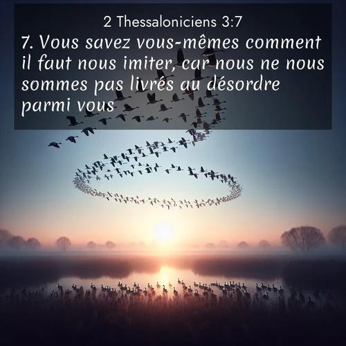 Segond21 2 Thessaloniciens  ; image nature: image avec le verset biblique :Vous savez vous-mêmes comment il faut nous imiter, car nous ne nous sommes pas livrés au désordre parmi vous ;  ; 3:7