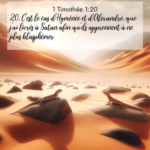 Segond21 1 Timothée  ; image nature: image avec le verset biblique :C&#039;est le cas d&#039;Hyménée et d&#039;Alexandre, que j&#039;ai livrés à Satan afin qu&#039;ils apprennent à ne plus blasphémer. ;  ; 1:20