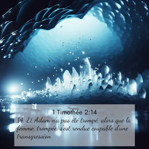 Segond21 1 Timothée  ; image nature: image avec le verset biblique :Et Adam n&#039;a pas été trompé, alors que la femme, trompée, s&#039;est rendue coupable d&#039;une transgression. ;  ; 2:14
