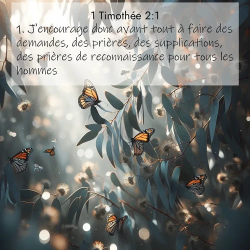 Segond21 1 Timothée  ; image nature: image avec le verset biblique :J&#039;encourage donc avant tout à faire des demandes, des prières, des supplications, des prières de reconnaissance pour tous les hommes, ;  ; 2:1