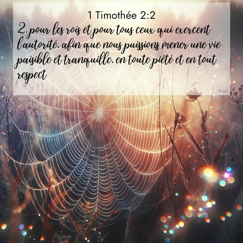 Segond21 1 Timothée  ; image nature: image avec le verset biblique :pour les rois et pour tous ceux qui exercent l&#039;autorité, afin que nous puissions mener une vie paisible et tranquille, en toute piété et en tout respect. ;  ; 2:2