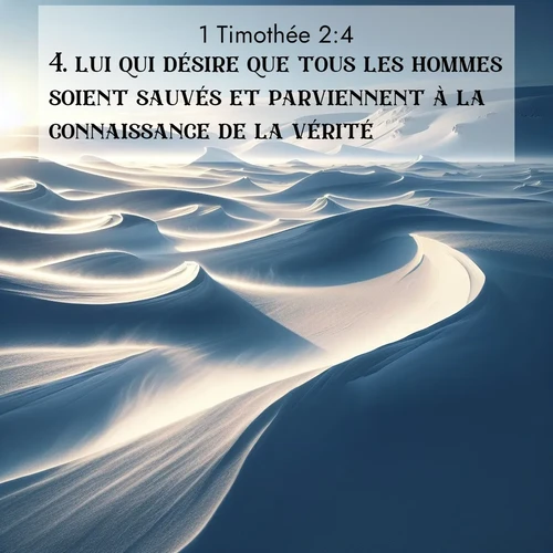 Segond21 1 Timothée  ; image nature: image avec le verset biblique :lui qui désire que tous les hommes soient sauvés et parviennent à la connaissance de la vérité. ;  ; 2:4