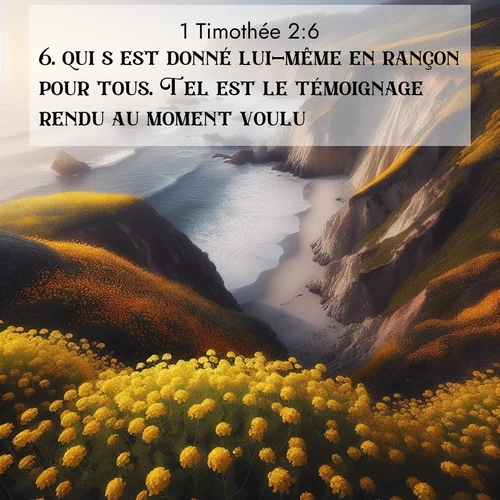 Segond21 1 Timothée  ; image nature: image avec le verset biblique :qui s&#039;est donné lui-même en rançon pour tous. Tel est le témoignage rendu au moment voulu ;  ; 2:6