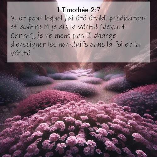 Segond21 1 Timothée  ; image nature: image avec le verset biblique :et pour lequel j&#039;ai été établi prédicateur et apôtre  je dis la vérité [devant Christ], je ne mens pas  chargé d&#039;enseigner les non-Juifs dans la foi et la vérité. ;  ; 2:7