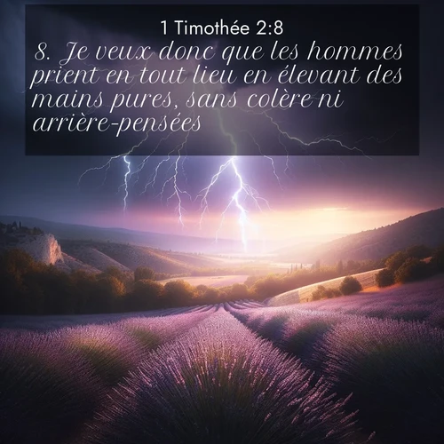 Segond21 1 Timothée  ; image nature: image avec le verset biblique :Je veux donc que les hommes prient en tout lieu en élevant des mains pures, sans colère ni arrière-pensées. ;  ; 2:8