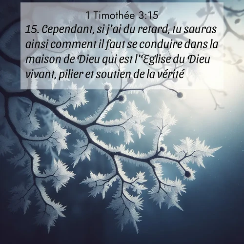 Segond21 1 Timothée  ; image nature: image avec le verset biblique :Cependant, si j&#039;ai du retard, tu sauras ainsi comment il faut se conduire dans la maison de Dieu qui est l&#039;Eglise du Dieu vivant, pilier et soutien de la vérité. ;  ; 3:15