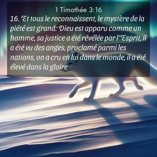 Segond21 1 Timothée  ; image nature: image avec le verset biblique :Et tous le reconnaissent, le mystère de la piété est grand: Dieu est apparu comme un homme, sa justice a été révélée par l&#039;Esprit, il a été vu des anges, proclamé parmi les nations, on a cru en lui dans le monde, il a été élevé dans la gloire. ;  ; 3:16