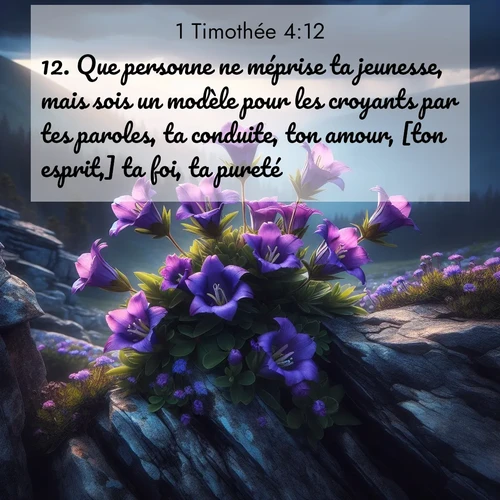 Segond21 1 Timothée  ; image nature: image avec le verset biblique :Que personne ne méprise ta jeunesse, mais sois un modèle pour les croyants par tes paroles, ta conduite, ton amour, [ton esprit,] ta foi, ta pureté. ;  ; 4:12