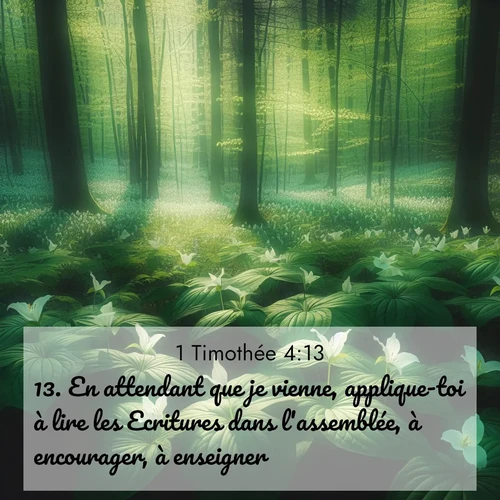 Segond21 1 Timothée  ; image nature: image avec le verset biblique :En attendant que je vienne, applique-toi à lire les Ecritures dans l&#039;assemblée, à encourager, à enseigner. ;  ; 4:13