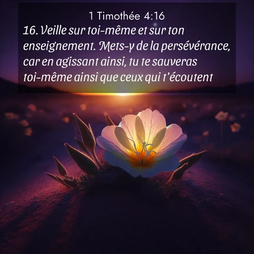 Segond21 1 Timothée  ; image nature: image avec le verset biblique :Veille sur toi-même et sur ton enseignement. Mets-y de la persévérance, car en agissant ainsi, tu te sauveras toi-même ainsi que ceux qui t&#039;écoutent. ;  ; 4:16