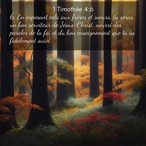 Segond21 1 Timothée  ; image nature: image avec le verset biblique :En exposant cela aux frères et soeurs, tu seras un bon serviteur de Jésus-Christ, nourri des paroles de la foi et du bon enseignement que tu as fidèlement suivi. ;  ; 4:6