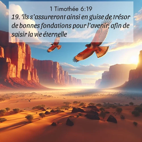 Segond21 1 Timothée  ; image nature: image avec le verset biblique :Ils s&#039;assureront ainsi en guise de trésor de bonnes fondations pour l&#039;avenir, afin de saisir la vie éternelle. ;  ; 6:19