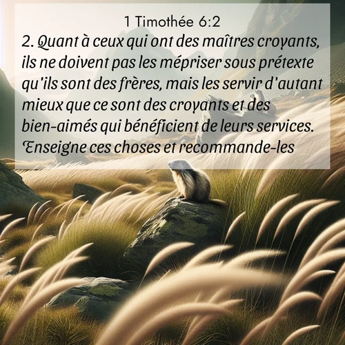 Segond21 1 Timothée  ; image nature: image avec le verset biblique :Quant à ceux qui ont des maîtres croyants, ils ne doivent pas les mépriser sous prétexte qu&#039;ils sont des frères, mais les servir d&#039;autant mieux que ce sont des croyants et des bien-aimés qui bénéficient de leurs services. Enseigne ces choses et recommande-les. ;  ; 6:2