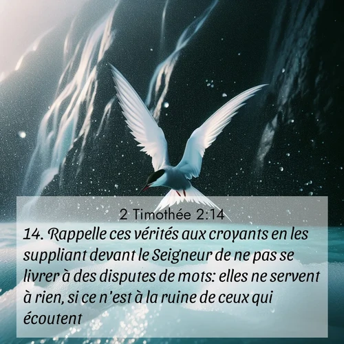 Segond21 2 Timothée  ; image nature: image avec le verset biblique :Rappelle ces vérités aux croyants en les suppliant devant le Seigneur de ne pas se livrer à des disputes de mots: elles ne servent à rien, si ce n&#039;est à la ruine de ceux qui écoutent. ;  ; 2:14