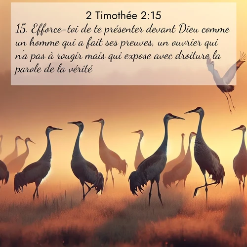 Segond21 2 Timothée  ; image nature: image avec le verset biblique :Efforce-toi de te présenter devant Dieu comme un homme qui a fait ses preuves, un ouvrier qui n&#039;a pas à rougir mais qui expose avec droiture la parole de la vérité. ;  ; 2:15