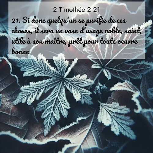 Segond21 2 Timothée  ; image nature: image avec le verset biblique :Si donc quelqu&#039;un se purifie de ces choses, il sera un vase d&#039;usage noble, saint, utile à son maître, prêt pour toute oeuvre bonne. ;  ; 2:21