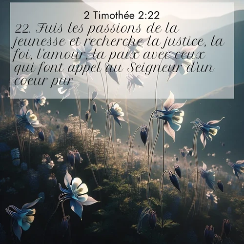 Segond21 2 Timothée  ; image nature: image avec le verset biblique :Fuis les passions de la jeunesse et recherche la justice, la foi, l&#039;amour, la paix avec ceux qui font appel au Seigneur d&#039;un coeur pur. ;  ; 2:22