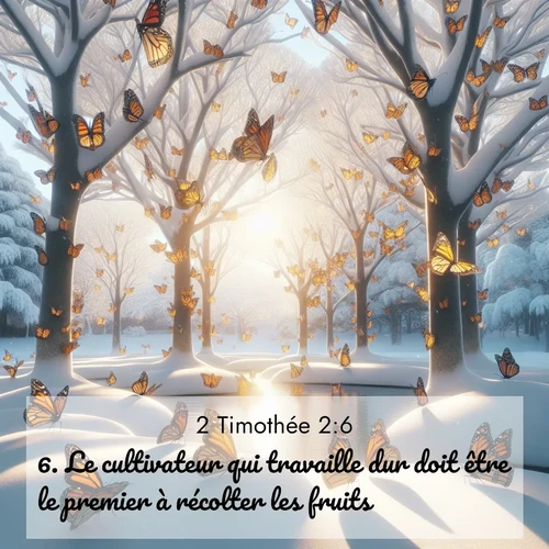 Segond21 2 Timothée  ; image nature: image avec le verset biblique :Le cultivateur qui travaille dur doit être le premier à récolter les fruits. ;  ; 2:6