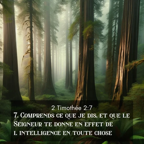 Segond21 2 Timothée  ; image nature: image avec le verset biblique :Comprends ce que je dis, et que le Seigneur te donne en effet de l&#039;intelligence en toute chose. ;  ; 2:7