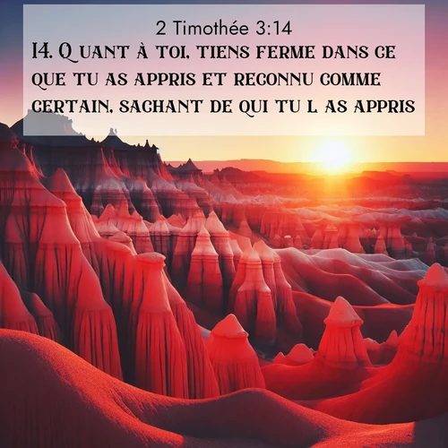 Segond21 2 Timothée  ; image nature: image avec le verset biblique :Quant à toi, tiens ferme dans ce que tu as appris et reconnu comme certain, sachant de qui tu l&#039;as appris. ;  ; 3:14