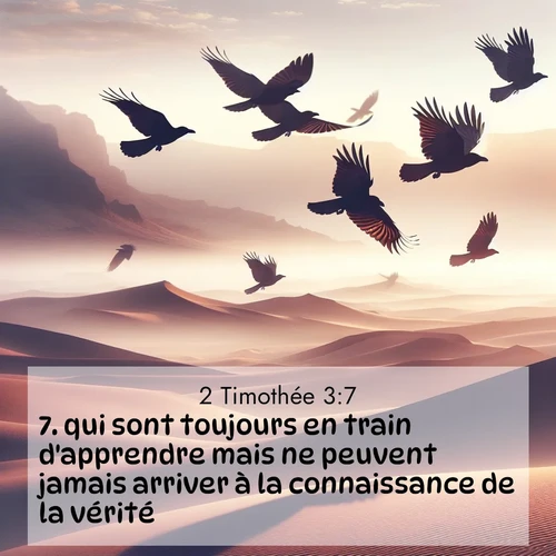 Segond21 2 Timothée  ; image nature: image avec le verset biblique :qui sont toujours en train d&#039;apprendre mais ne peuvent jamais arriver à la connaissance de la vérité. ;  ; 3:7