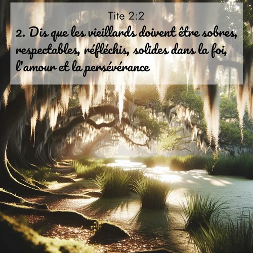 Segond21 Tite  ; image nature: image avec le verset biblique :Dis que les vieillards doivent être sobres, respectables, réfléchis, solides dans la foi, l&#039;amour et la persévérance. ;  ; 2:2