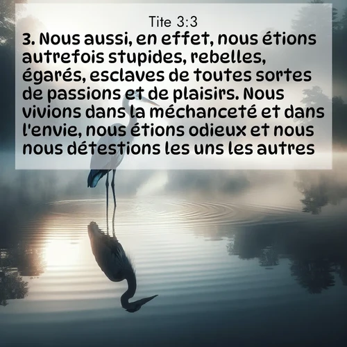 Segond21 Tite  ; image nature: image avec le verset biblique :Nous aussi, en effet, nous étions autrefois stupides, rebelles, égarés, esclaves de toutes sortes de passions et de plaisirs. Nous vivions dans la méchanceté et dans l&#039;envie, nous étions odieux et nous nous détestions les uns les autres. ;  ; 3:3