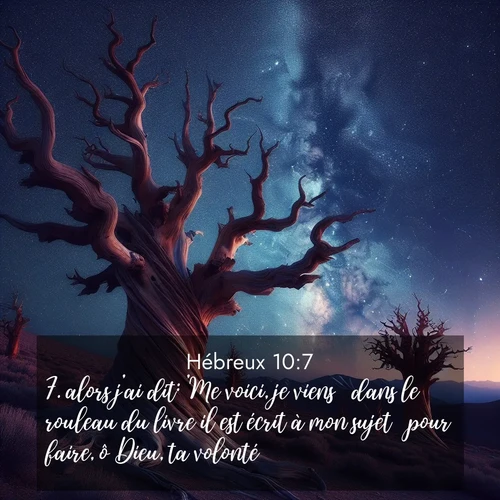 Segond21 Hébreux  ; image nature: image avec le verset biblique :alors j&#039;ai dit: &#039;Me voici, je viens  dans le rouleau du livre il est écrit à mon sujet  pour faire, ô Dieu, ta volonté.&#039; ;  ; 10:7