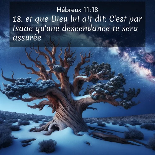 image nature avec verset biblique de la Bible