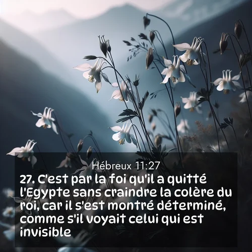 image nature avec verset biblique de la Bible