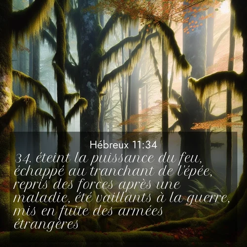 image nature avec verset biblique de la Bible
