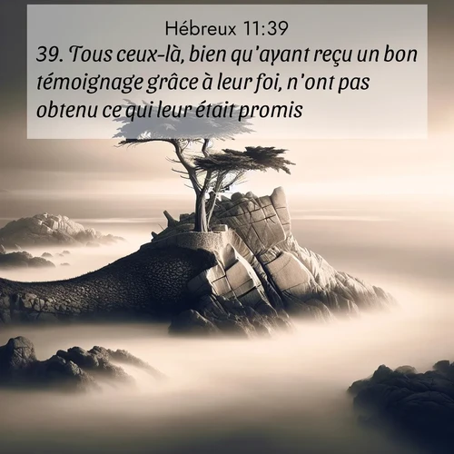 Segond21 Hébreux  ; image nature: image avec le verset biblique :Tous ceux-là, bien qu&#039;ayant reçu un bon témoignage grâce à leur foi, n&#039;ont pas obtenu ce qui leur était promis, ;  ; 11:39