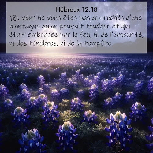 Segond21 Hébreux  ; image nature: image avec le verset biblique :Vous ne vous êtes pas approchés d&#039;une montagne qu&#039;on pouvait toucher et qui était embrasée par le feu, ni de l&#039;obscurité, ni des ténèbres, ni de la tempête, ;  ; 12:18