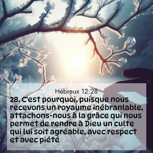 Segond21 Hébreux  ; image nature: image avec le verset biblique :C&#039;est pourquoi, puisque nous recevons un royaume inébranlable, attachons-nous à la grâce qui nous permet de rendre à Dieu un culte qui lui soit agréable, avec respect et avec piété. ;  ; 12:28