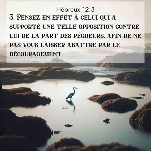 Segond21 Hébreux  ; image nature: image avec le verset biblique :Pensez en effet à celui qui a supporté une telle opposition contre lui de la part des pécheurs, afin de ne pas vous laisser abattre par le découragement. ;  ; 12:3