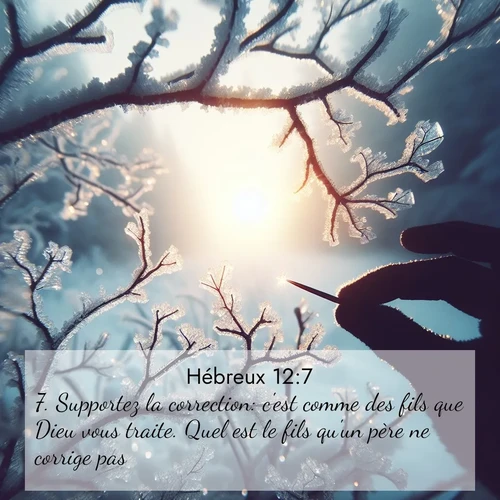 Segond21 Hébreux  ; image nature: image avec le verset biblique :Supportez la correction: c&#039;est comme des fils que Dieu vous traite. Quel est le fils qu&#039;un père ne corrige pas? ;  ; 12:7