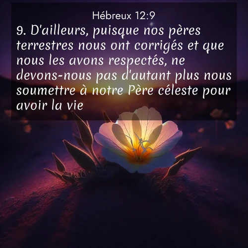 Segond21 Hébreux  ; image nature: image avec le verset biblique :D&#039;ailleurs, puisque nos pères terrestres nous ont corrigés et que nous les avons respectés, ne devons-nous pas d&#039;autant plus nous soumettre à notre Père céleste pour avoir la vie? ;  ; 12:9