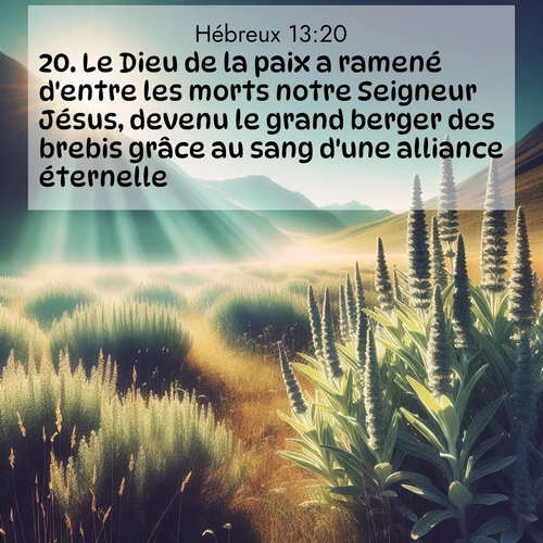 image nature avec verset biblique de la Bible