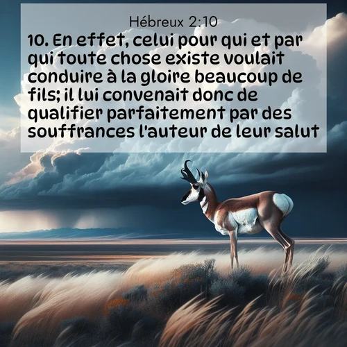 Segond21 Hébreux  ; image nature: image avec le verset biblique :En effet, celui pour qui et par qui toute chose existe voulait conduire à la gloire beaucoup de fils; il lui convenait donc de qualifier parfaitement par des souffrances l&#039;auteur de leur salut. ;  ; 2:10